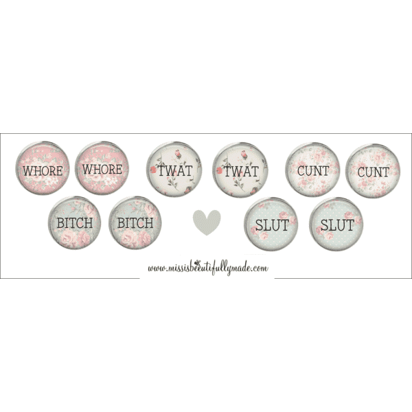 Profanity earrings (5 pairs)