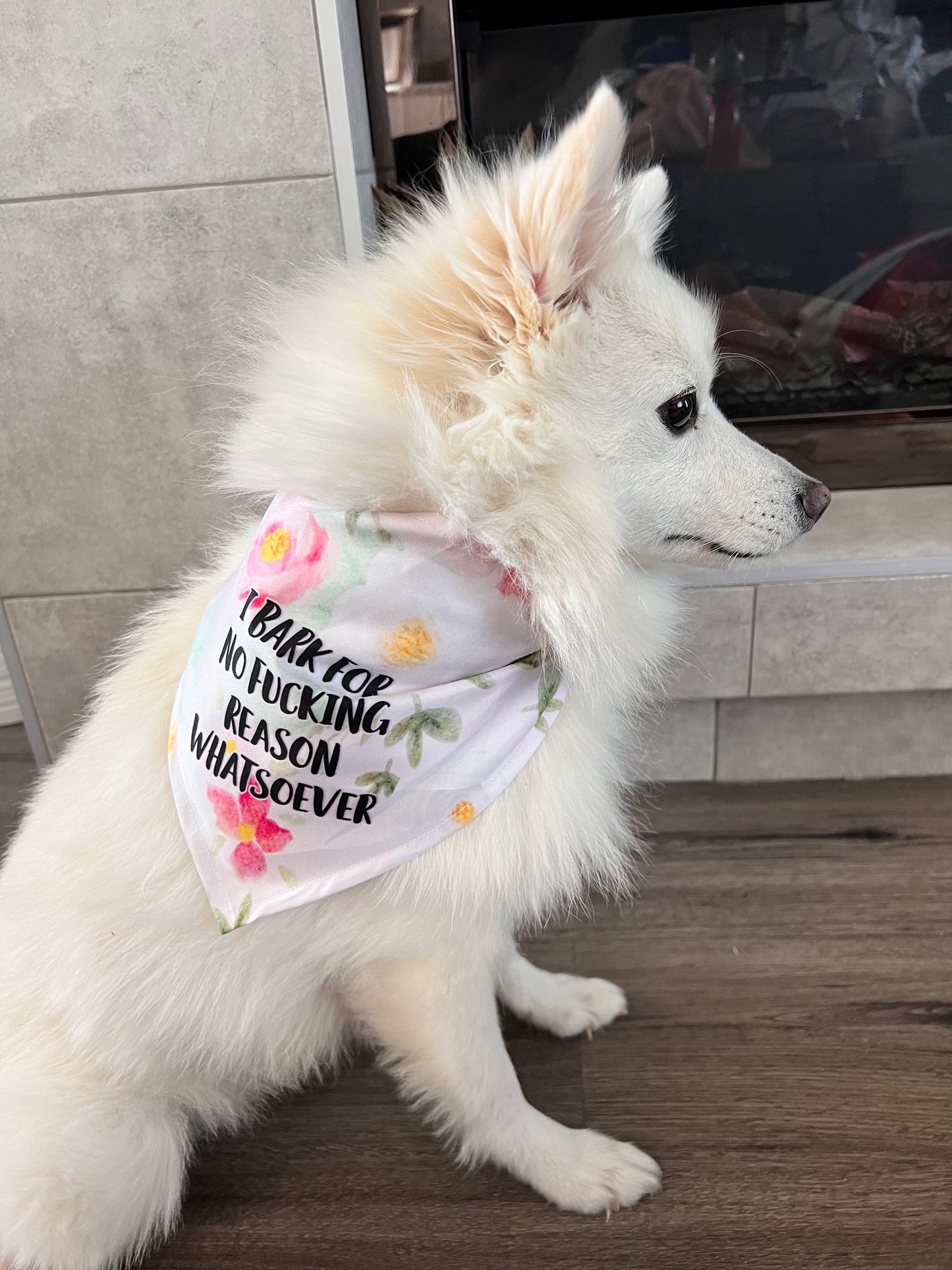 Dog Bandana - I bark for no fucking reason whatsoever (pink floral)