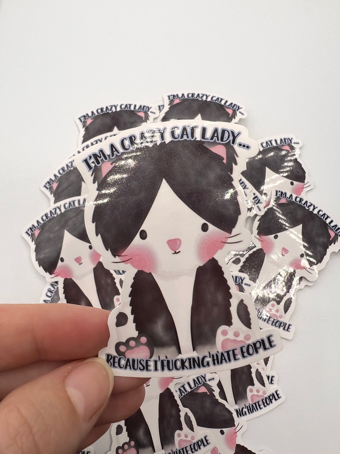 10x Waterproof cat lady stickers