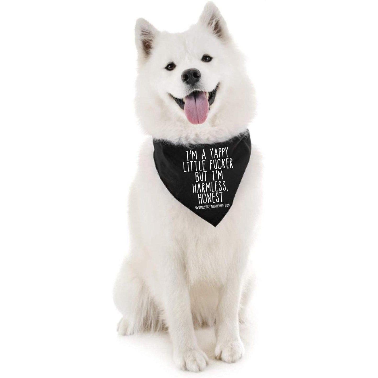 Black dog bandana with slight defects. Quote is printed in white and reads I'm a happy little fucker but I'm harmless, honest. Measures approx 55cm along the top (including the ties).