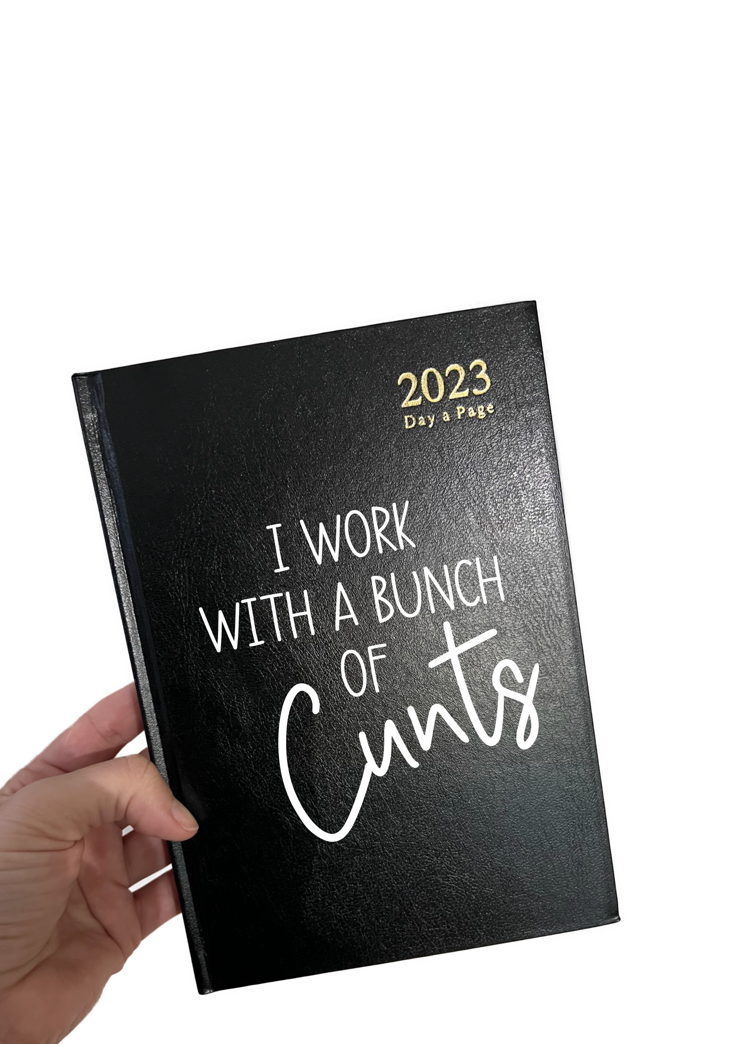 Diary - I Work With A Bunch Of Cunts