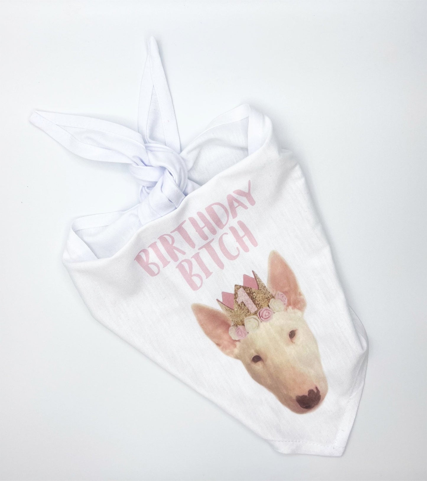 Dog Bandana - 1st Birthday