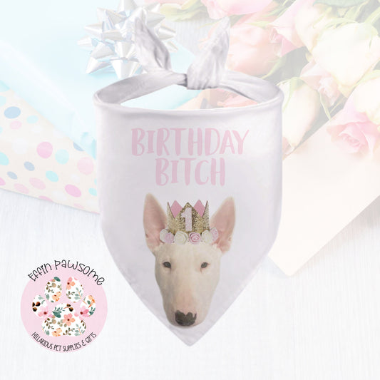 Dog Bandana - 1st Birthday