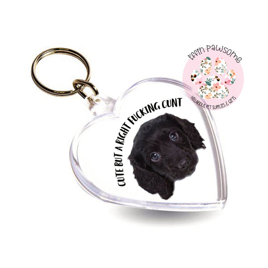 Personalised Heart Keyring - Custom Pet Photo