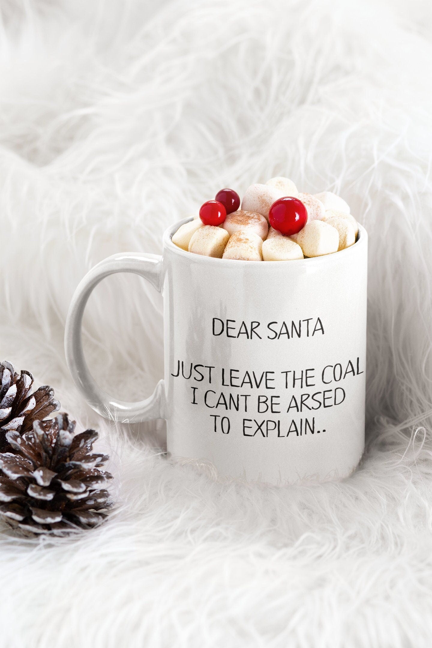 Mug - Santa Just Leave The Coal