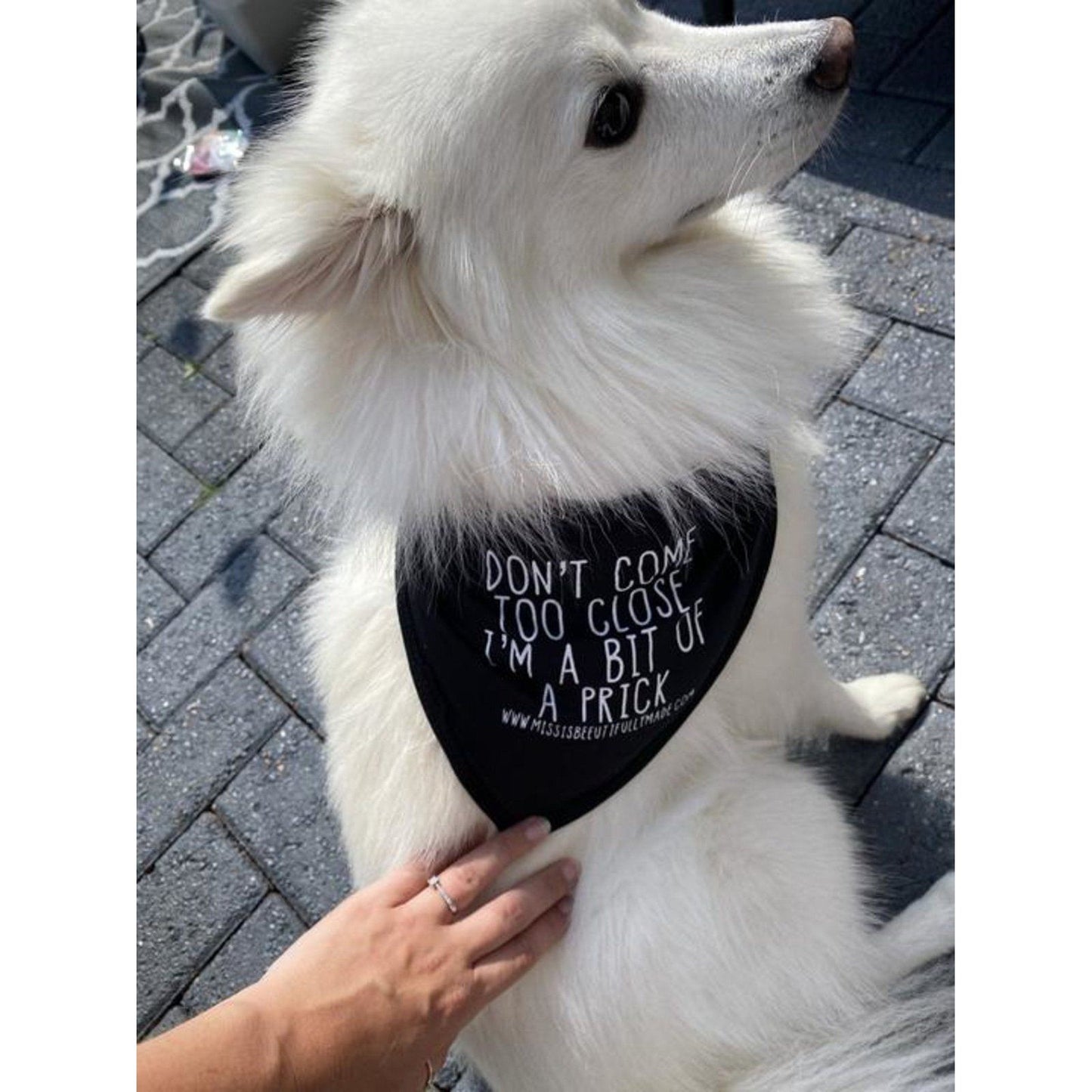 Black dog bandana for small or medium dogs with the quote don't come too close I'm a bit of a prick, printed in white. These measure approximately 55cm in length, are double layered and can be tied around the neck. Contains slight defects so are heavily discounted.