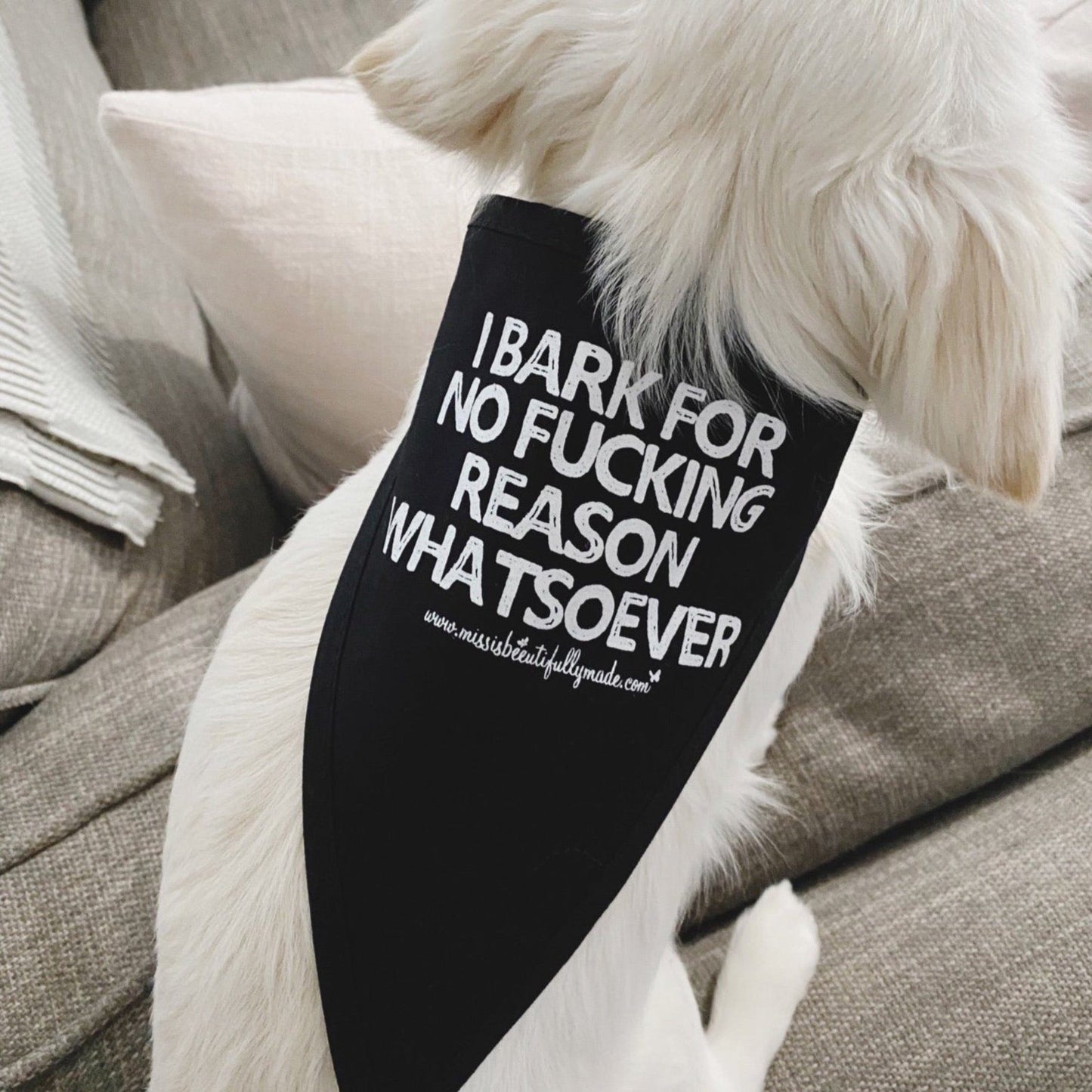 Cotton dog bandana in pink or black with the quote I bark for no fucking reason whatsoever. Tie around strings and single layered fabric