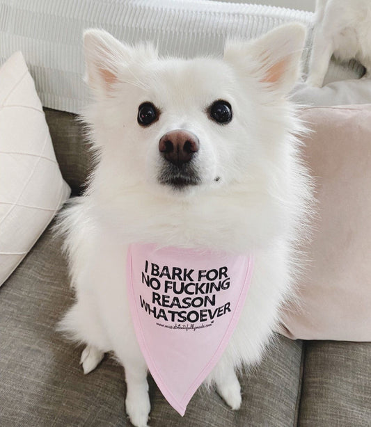 Cotton dog bandana in pink or black with the quote I bark for no fucking reason whatsoever. Tie around strings and single layered fabric