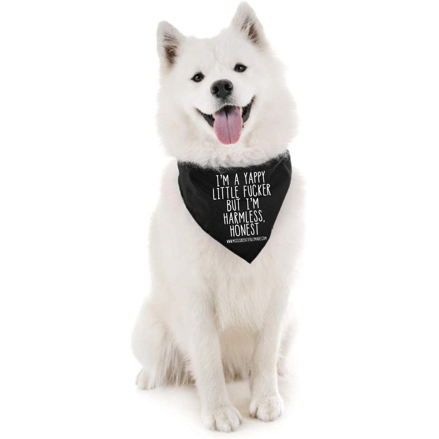 Black dog bandana with slight defects. Quote is printed in white and reads I'm a happy little fucker but I'm harmless, honest. Measures approx 55cm along the top (including the ties). 