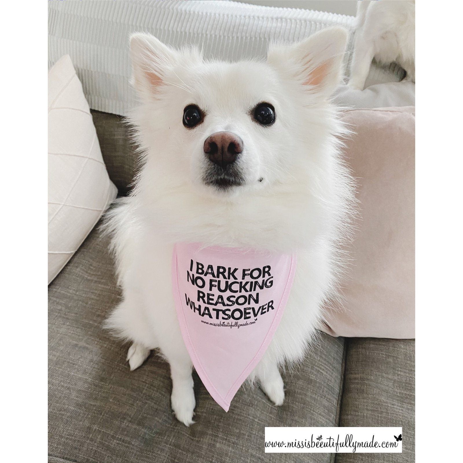 Cotton dog bandana in pink or black with the quote I bark for no fucking reason whatsoever. Tie around strings and single layered fabric