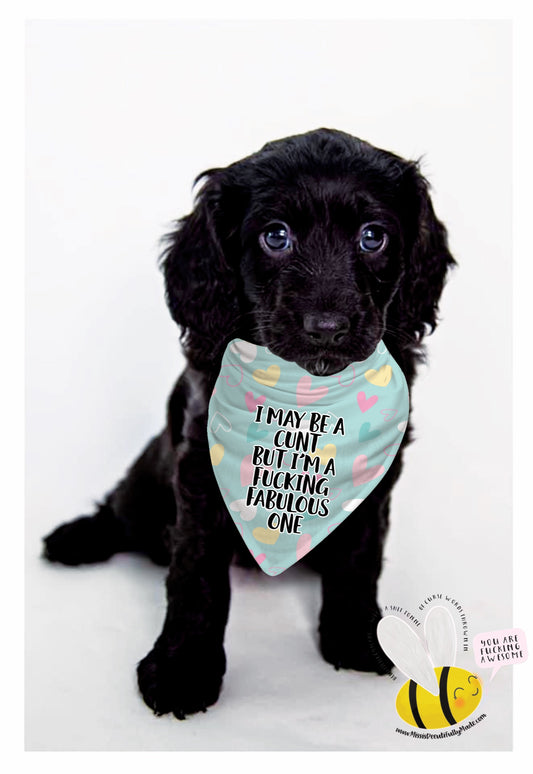 Dog Bandana - I may be a cunt but I’m a fucking fabulous one