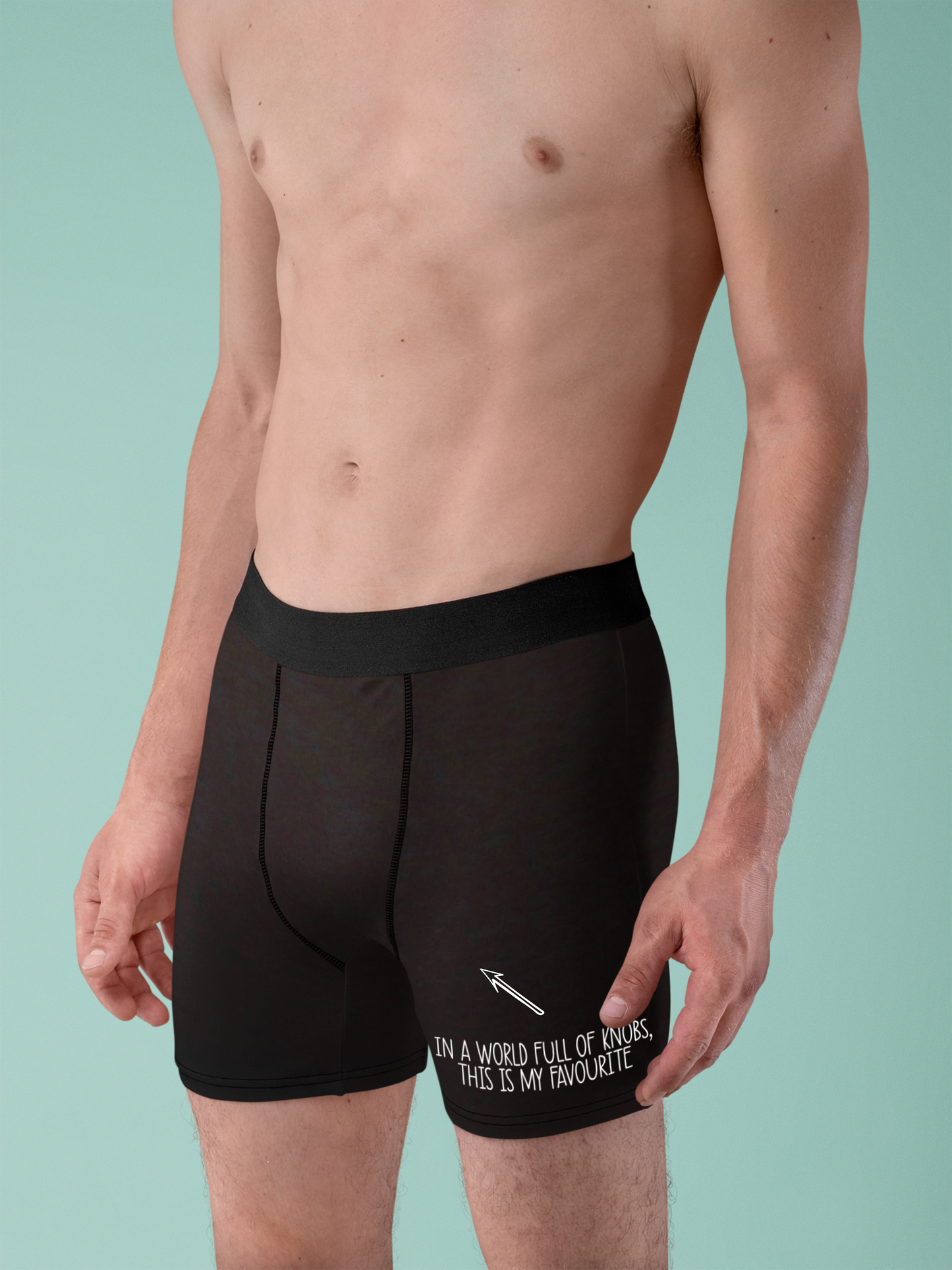 Black pair of mens boxer short pants with a white funny quote to the bottom of the left leg. It reads 'in a world full of knobs, this is my favourite' with an arrow pointing to the crotch area'.