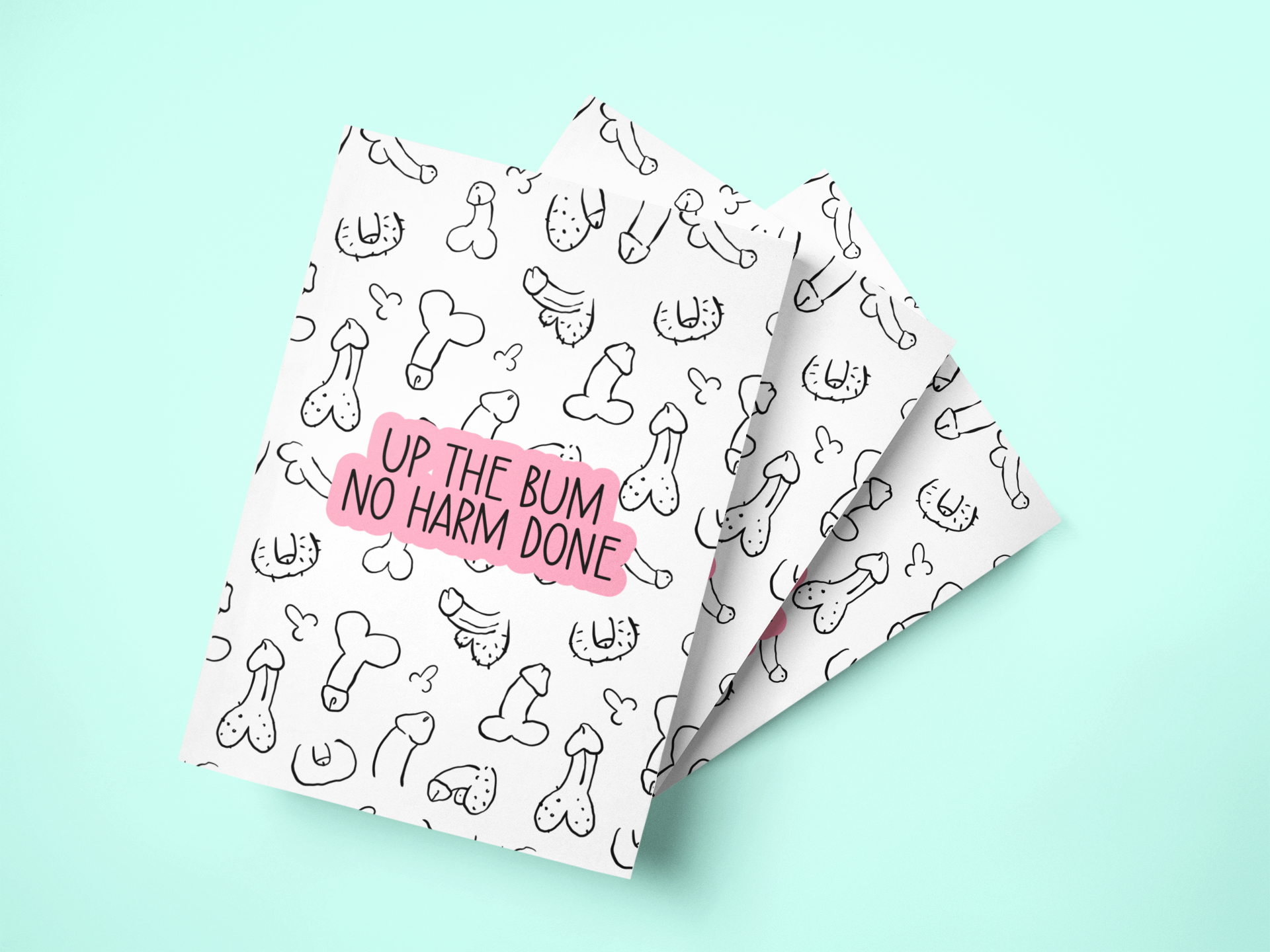 A white A5 notebook featuring a fun willy design print to the front. Over the print is a funny quote 'up the bum, no harm done', printed in black & pink ink. The notebook is folded & stapled, containing 40 plain pages.